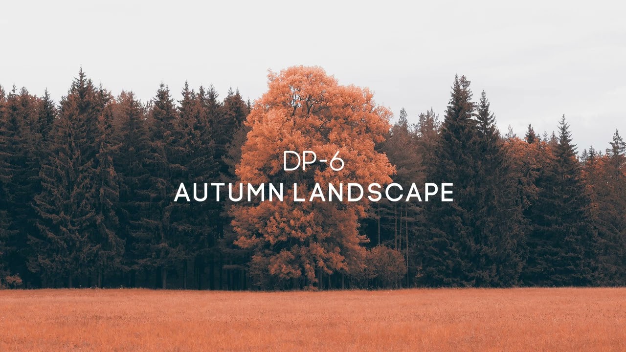 DP-6 - Autumn Landscape