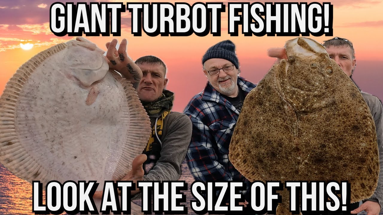 Turbot Fishing UK: Giant Turbot EATS My Big Bait! - Sea Fishing UK