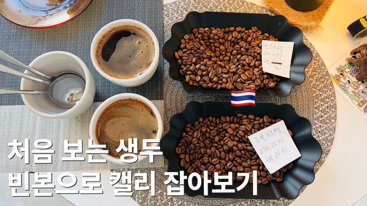 빈본으로 처음 보는 생두 볶는 방법 (태국 치앙마이 애너로빅 내추럴)