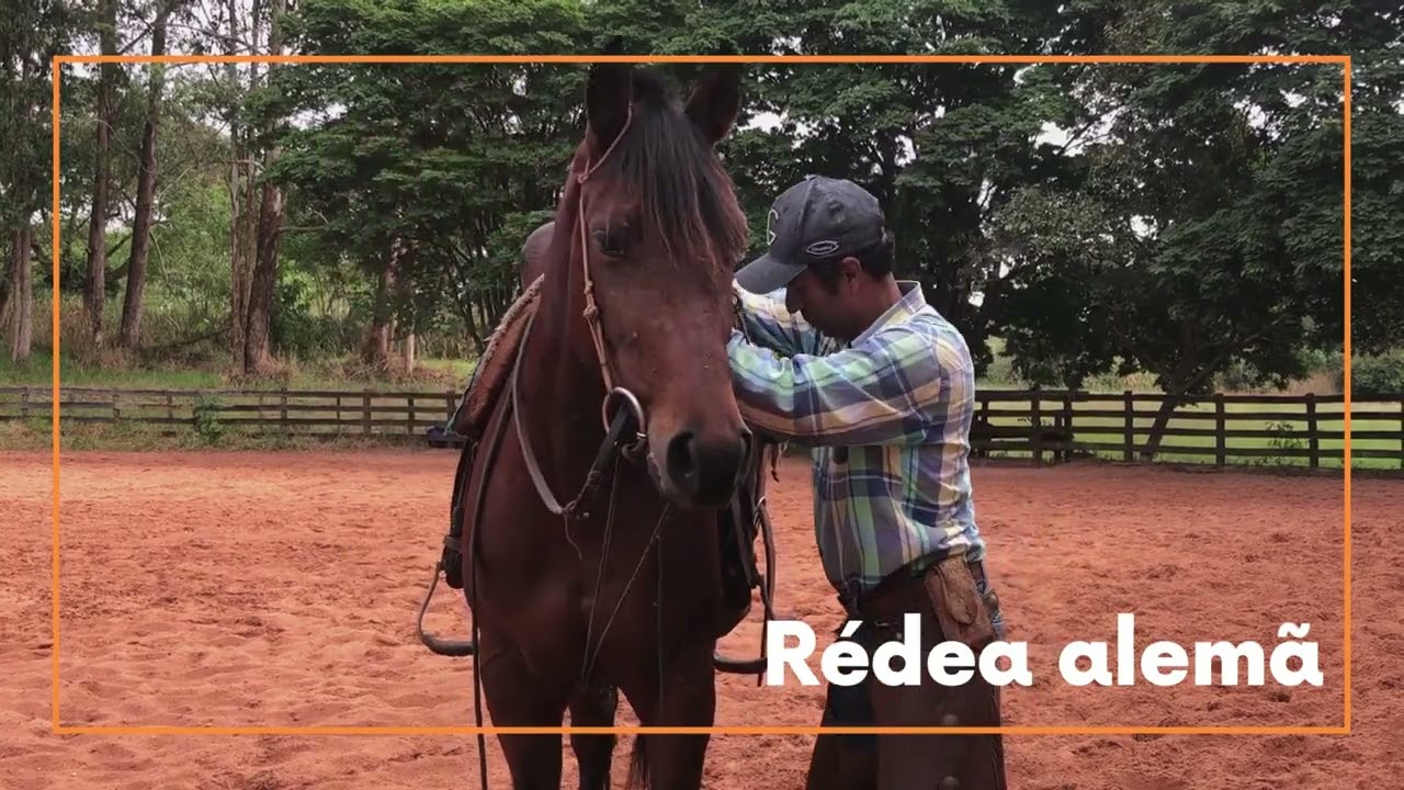 Rédea alemã