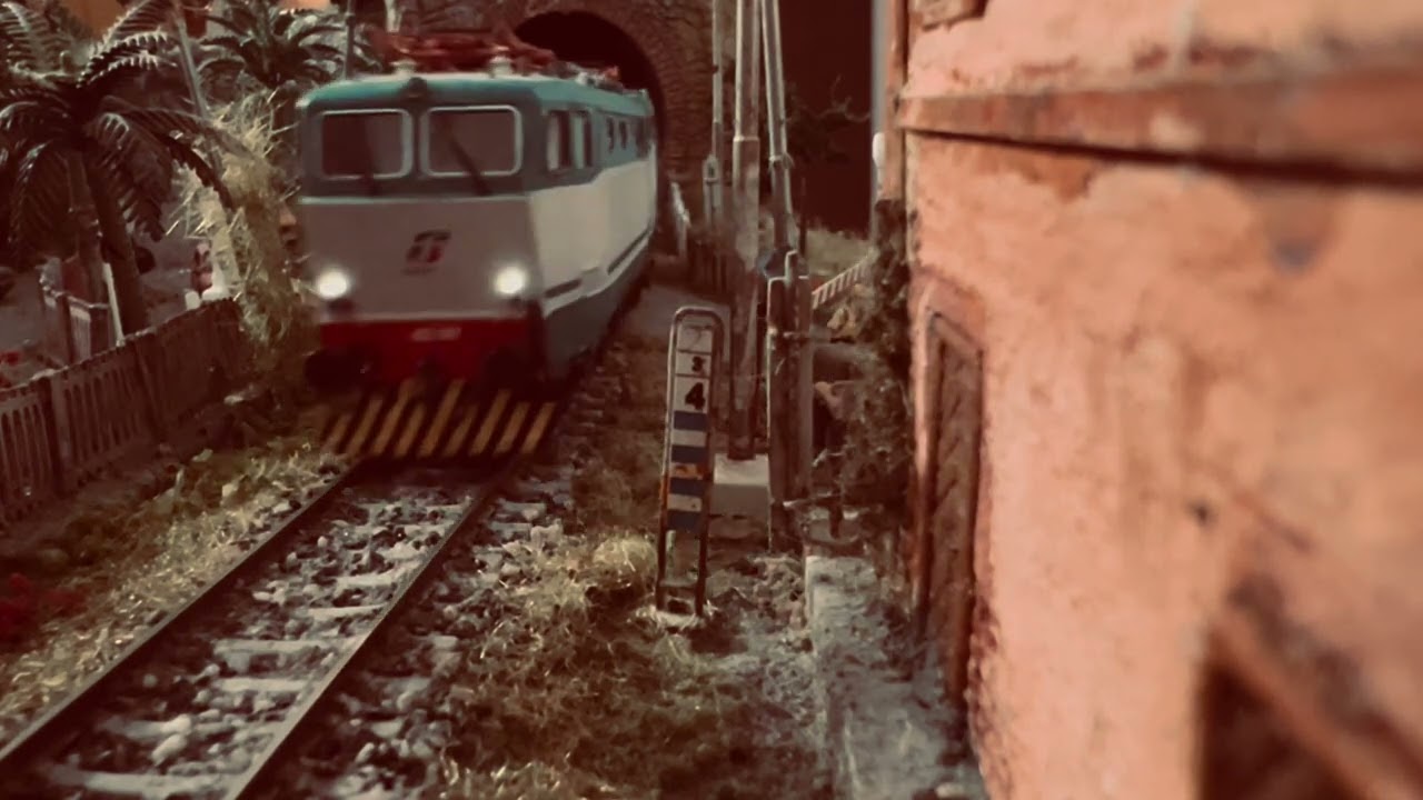 E 655