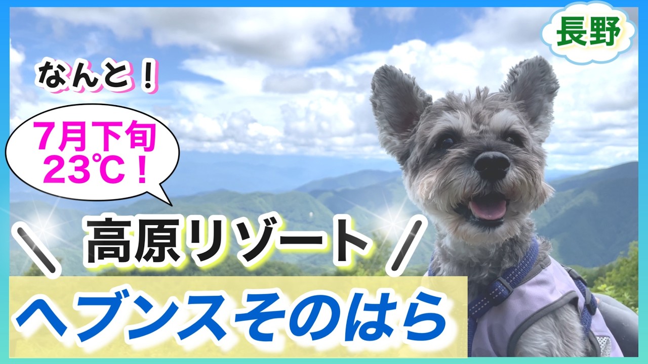 【犬連れ旅行】長野の避暑地「ヘブンスそのはら」｜高原リゾートを愛犬と満喫