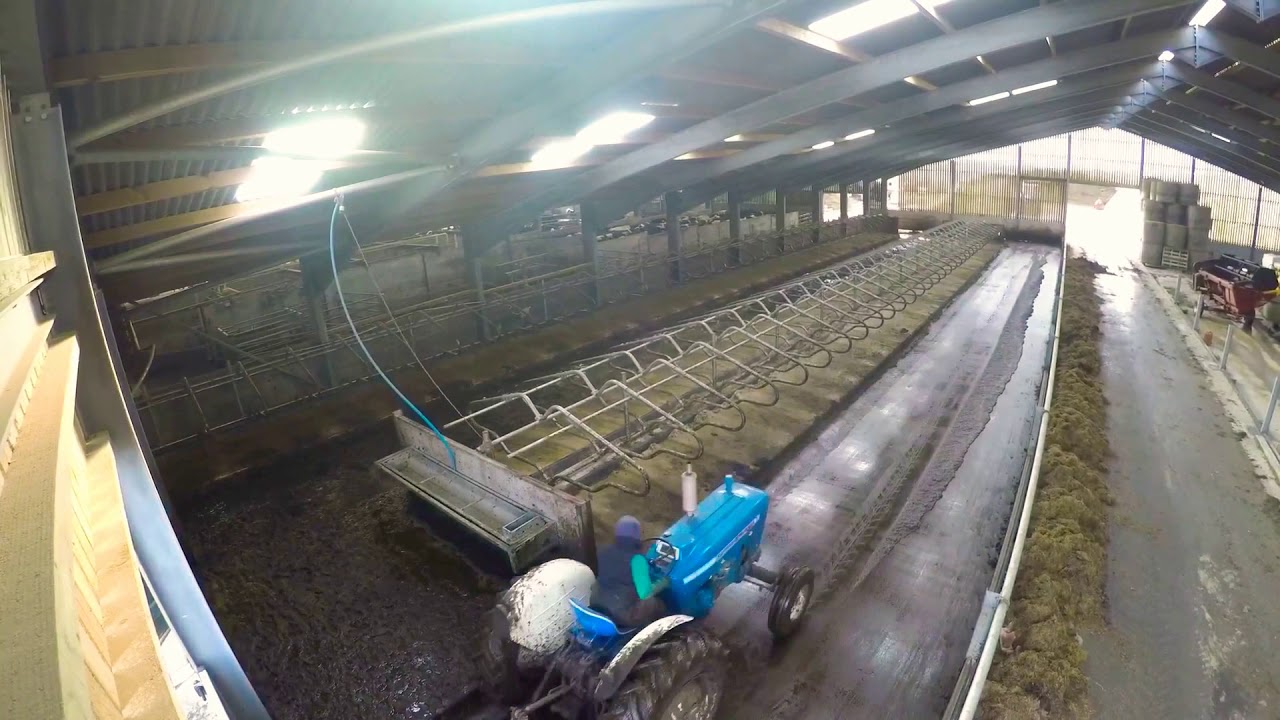 Winter Dry Cow routine - Bobman bedding machine