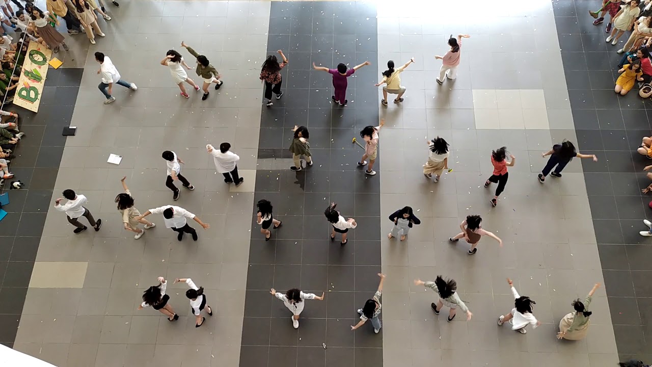 Ngày Hội Thanh Âm 2019 | Khối chuyên Pháp - Lớn Rồi Còn Khóc Nhè (Trúc Nhân)