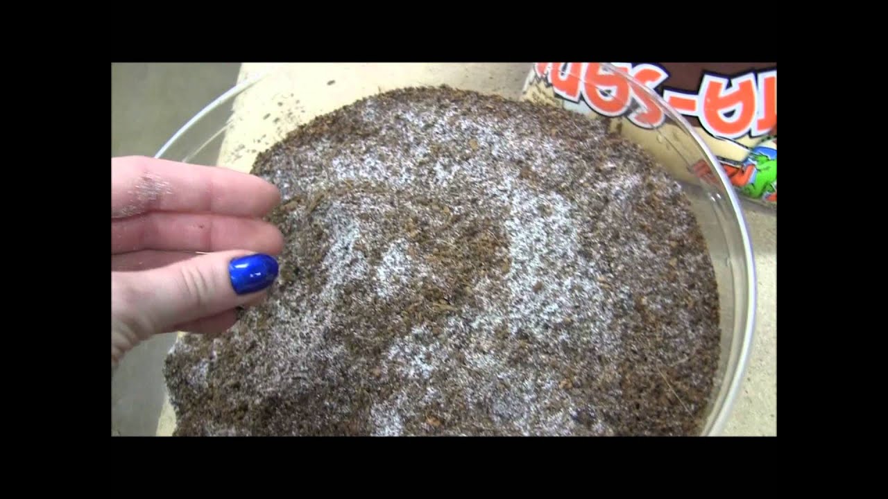 How to Set Up Excavator Clay!
