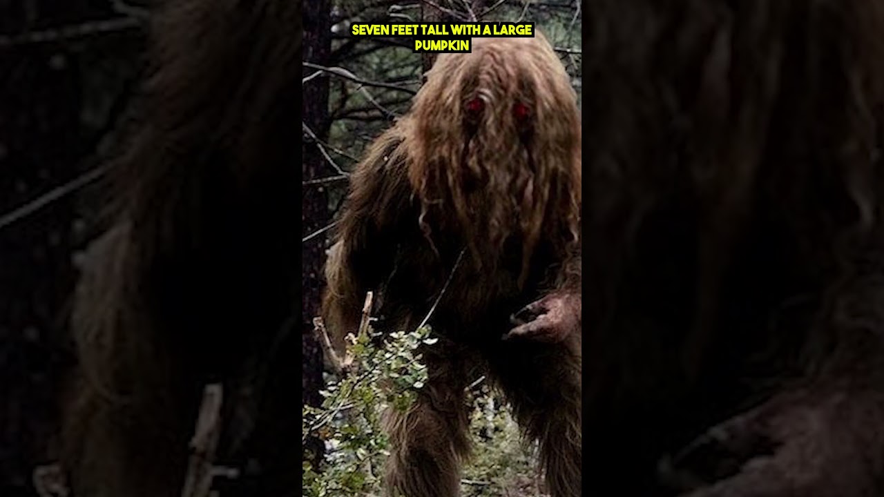 Quickfire Cryptids - Momo The Missouri Monster