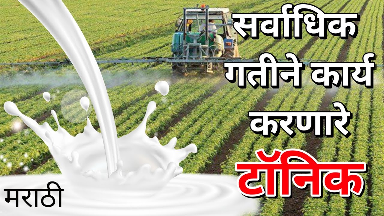 जगातील सर्वात जलद गतीने कार्य करनारे टॅानिक । milk uses in agriculture