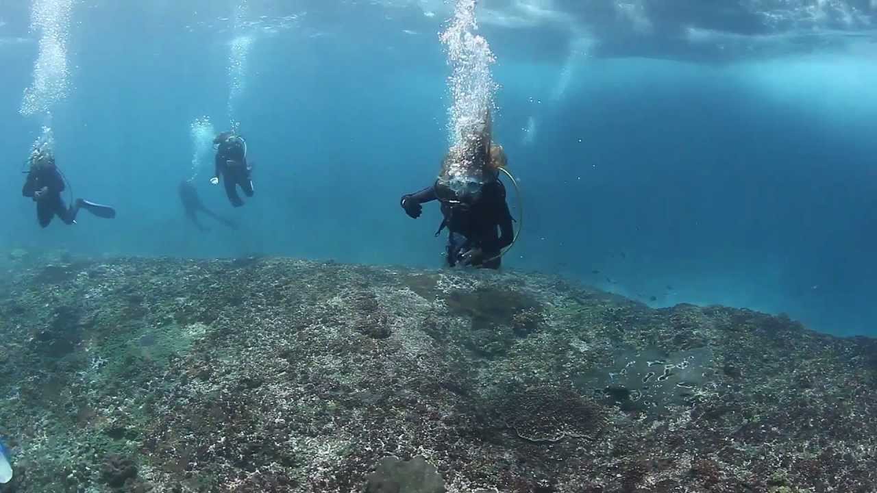 Diving Bali - Nusa Penida