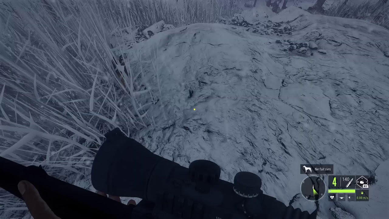 The hunter call of the wild