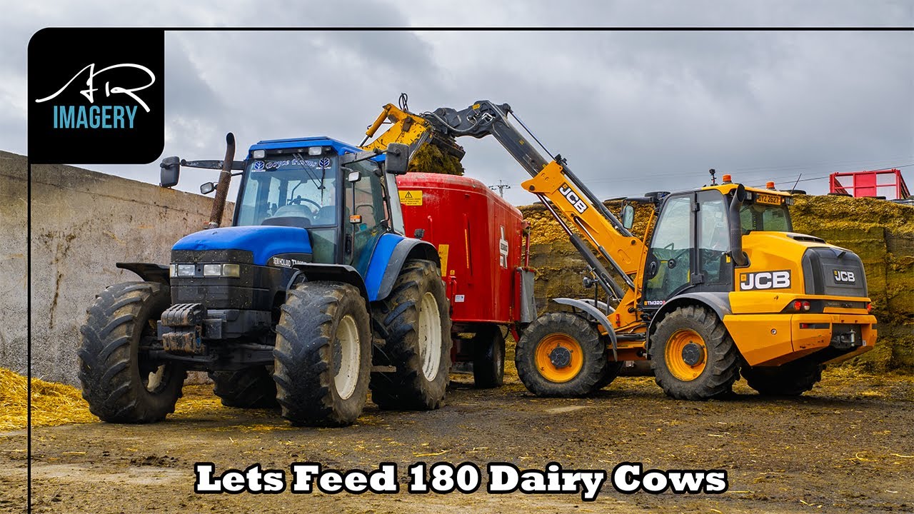 Lets Feed 180 Dairy Cows down at Boyce Farms