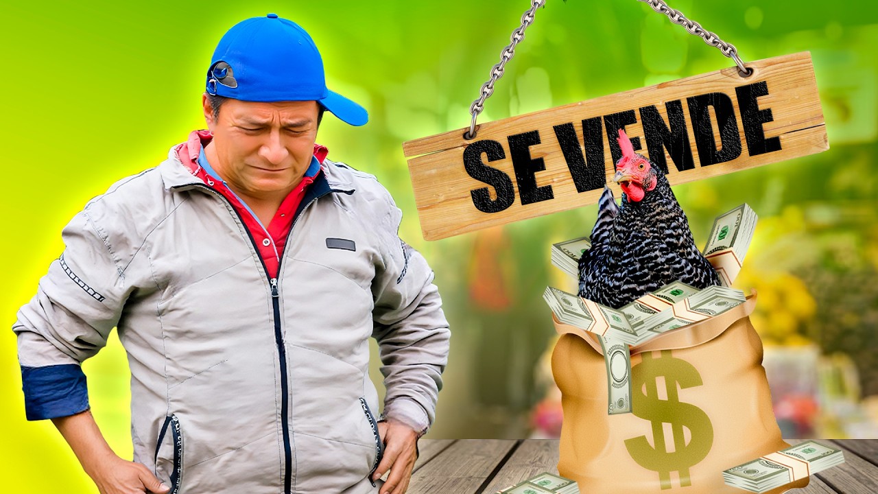Sal&iacute; a vender mi gallina para salir de la pobreza | Don Lucho