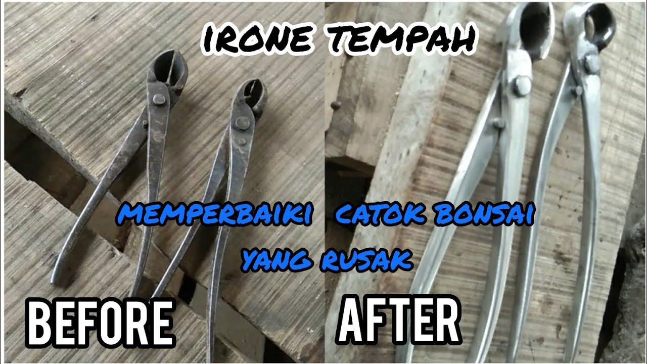 restorasi catok bonsai