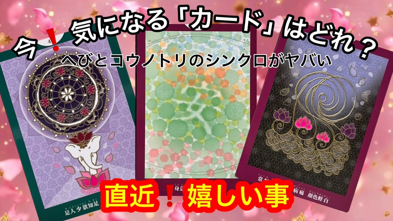 【直近❗️あなたに起こる⚡️とんでもなく嬉しい事🩷】この今日❗️あなたに急いで伝えたい✨緊急メッセージ💌🏇【ルノルマンカードリーディング占い】恐ろしいほど当たる😱