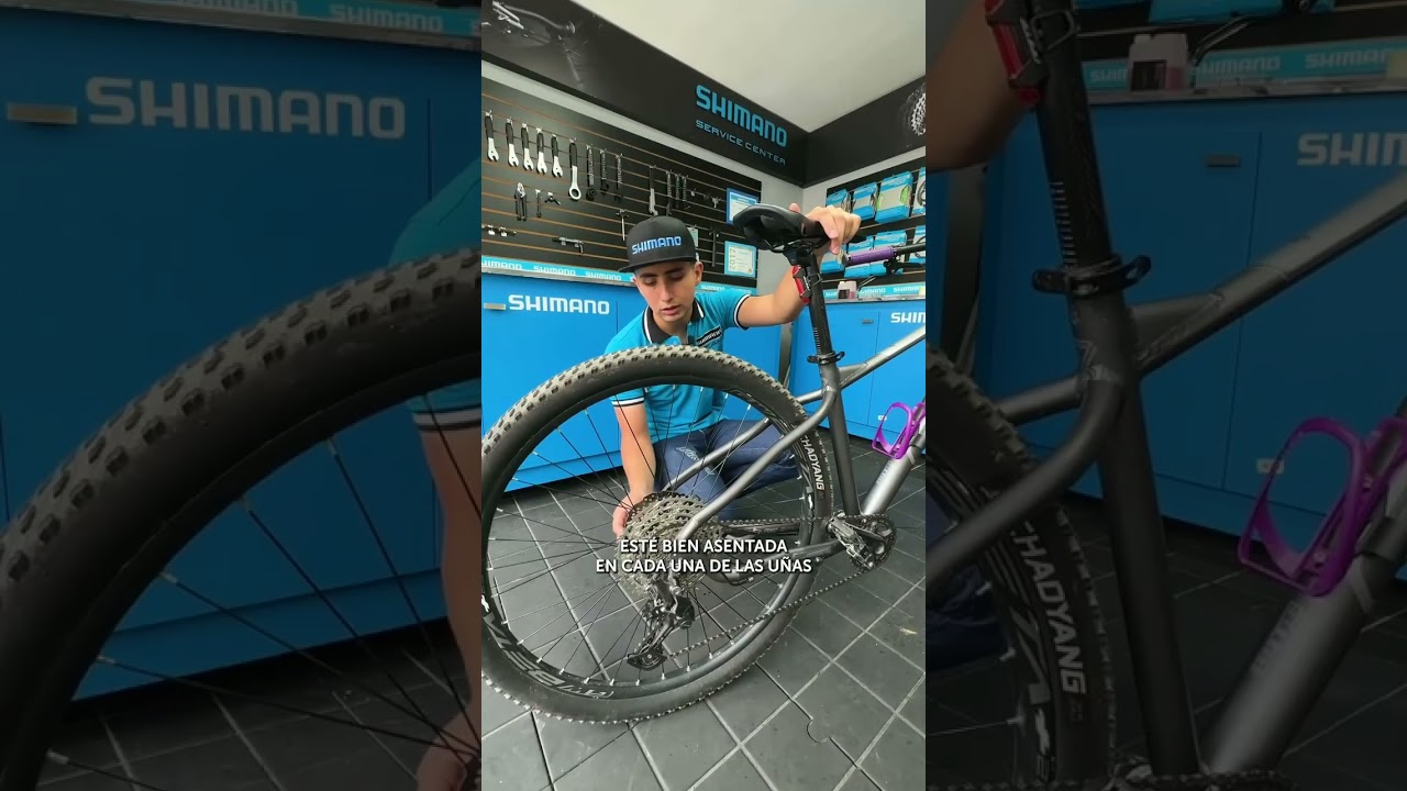 &iquest;Qu&eacute; hago si mi Bici est&aacute; Frenada?
