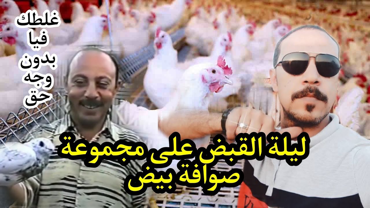 ليلة القبض على مجموعه صوافه بيض 🤣🤣🤣#ياسر_ادهم #حوده_سيوده