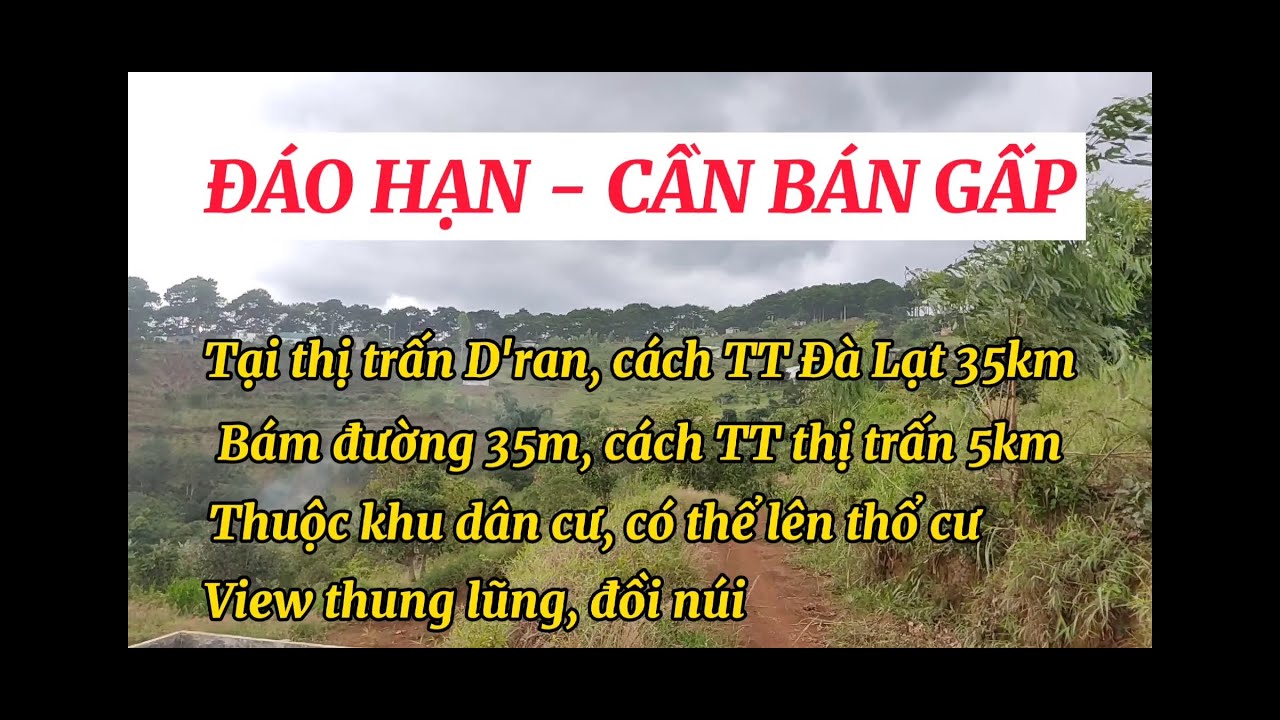 [Đã bán] - 4 SÀO VIEW ĐẸP TẠI D'RAN | ĐẤT NGHỈ DƯỠNG VEN ĐÀ LẠT|XÓM NÚI BÌNH YÊN