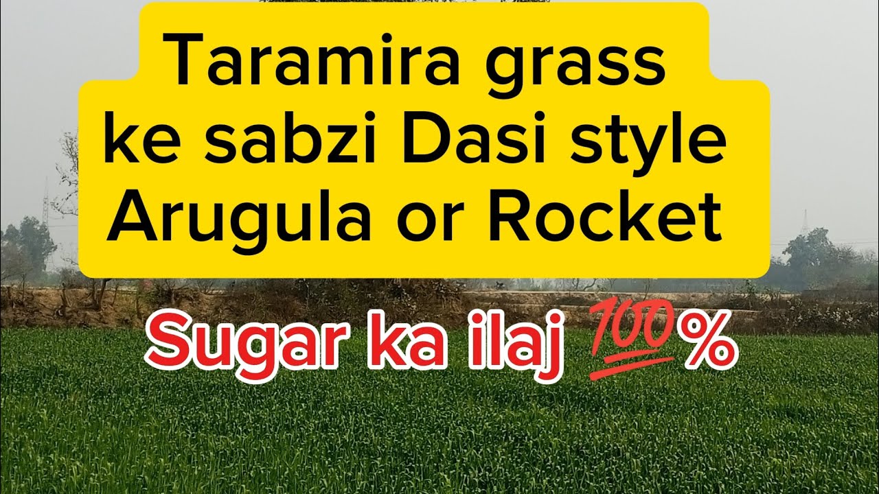 Taramira grass ke Sabzi Arugula vegetable Dasi food Punjab ki Traditional Dish 