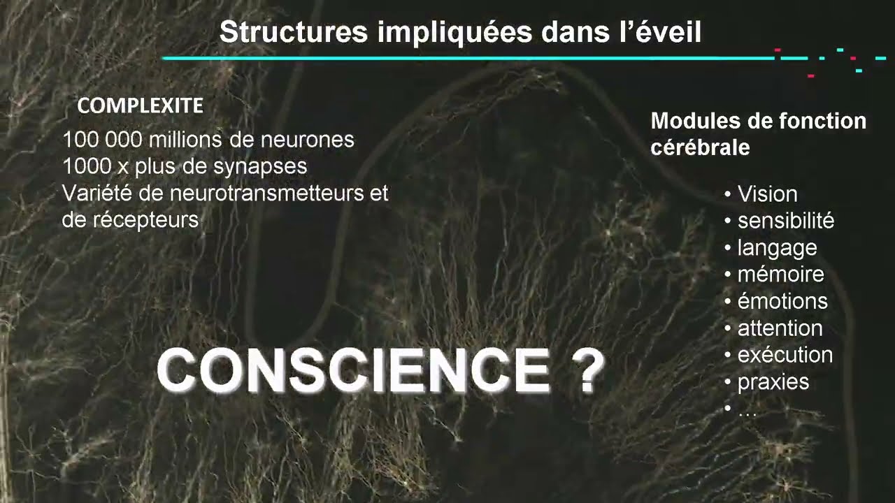 WeARe 2022 - Lionel VELLY  - Comment je fais dormir mon patient au bloc et en réanimation ?