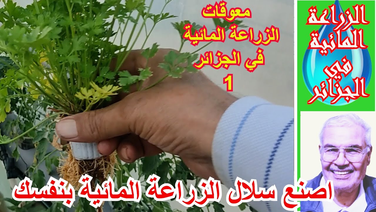 معقوقات الزراعة المائية في الجزائر 1، اصنع سلال الزراعة المائية بنفسك