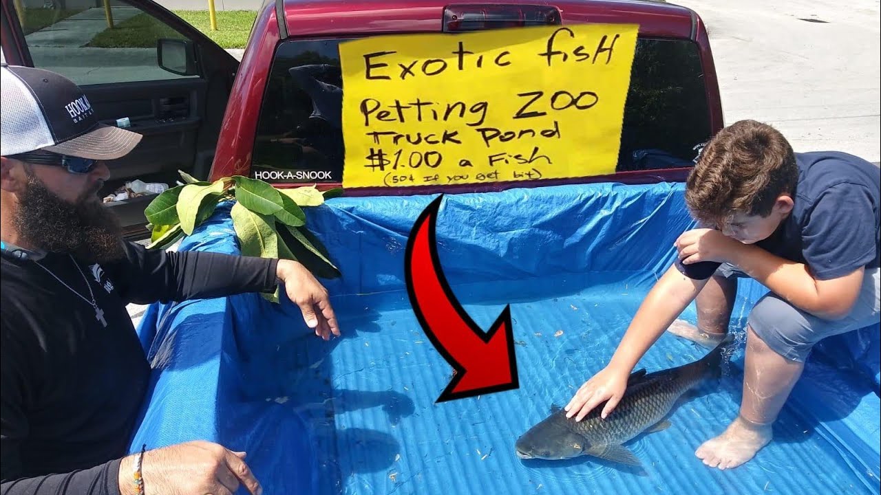 DIY TRUCK FISH POND Aquarium Petting ZOO!!!
