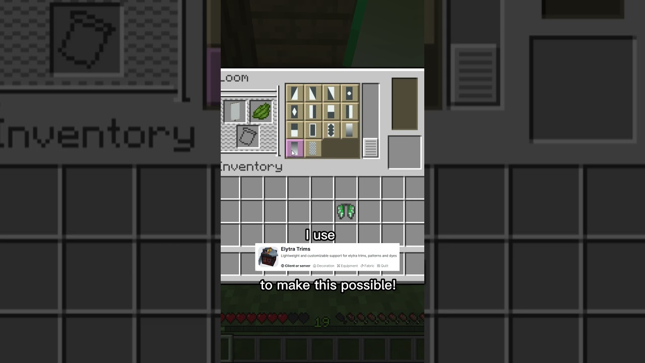 Custom Elytra V2 #minecraft #shorts #buildhacks
