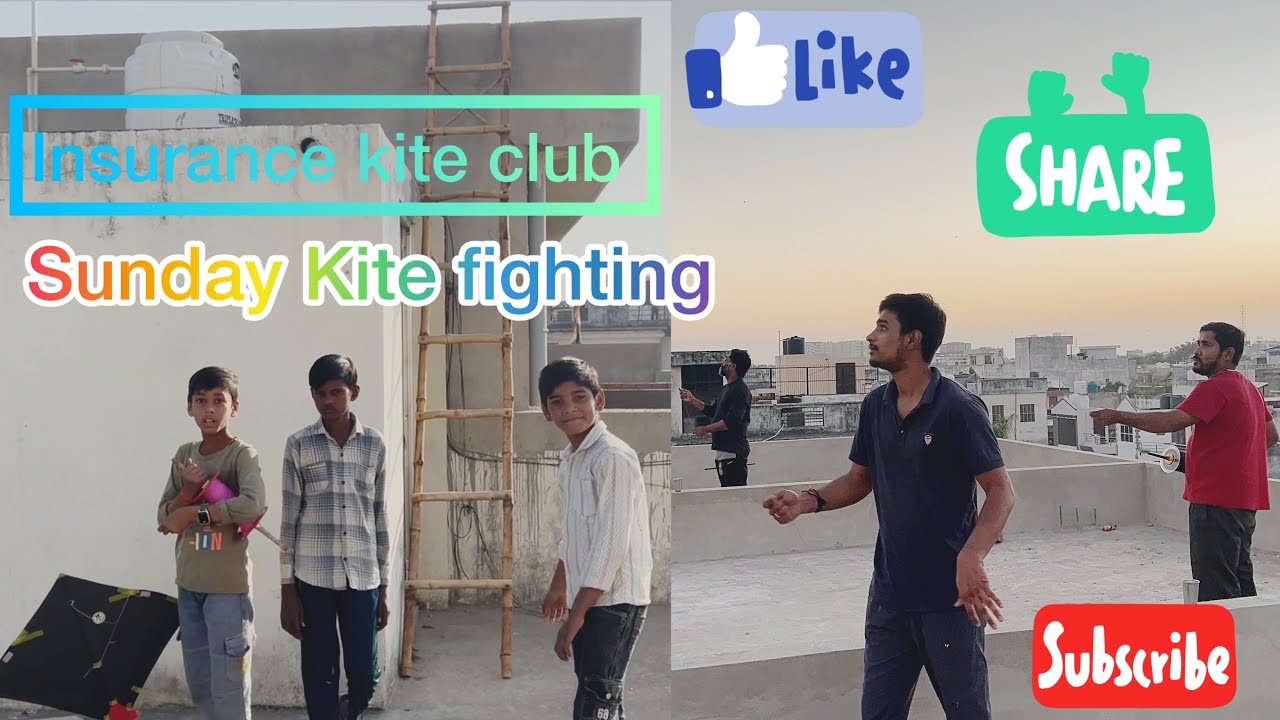 Sunday kite fighting #kite flying #kite fighting 