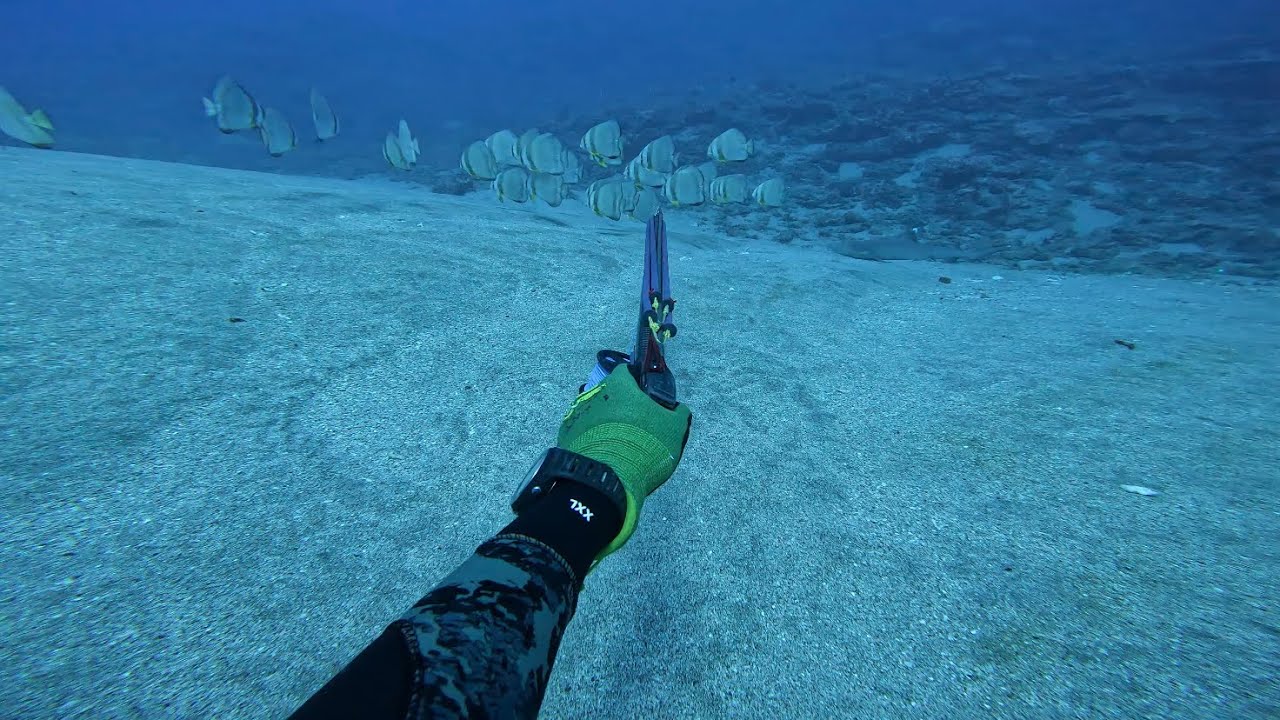 Raiatea spearfishing Il 2023