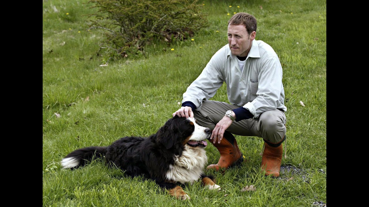 From the Archives - Poor Peter Mackay (2005)