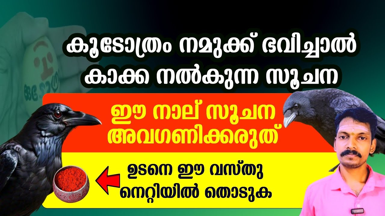 കൂടോത്രം ഏറ്റാൽ കാക്ക നൽകുന്ന നാല് സൂചനകൾ. ഇവ അവഗണിക്കരുത്.ഉടനെ ഈ വസ്തു നെറ്റിയിൽ തൊടുക.ദോഷം മാറും.