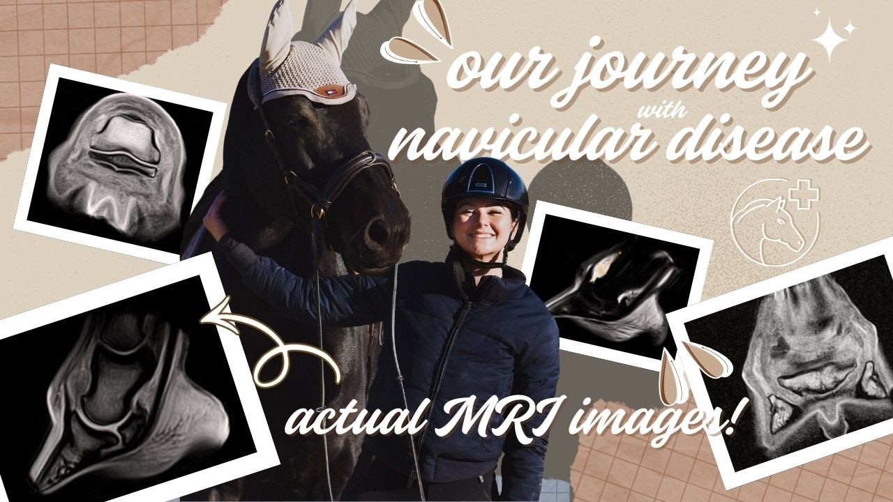 Our Journey with Navicular Disease: Diagnosis & MRI Image Analysis (including our actual images) 📸🐴