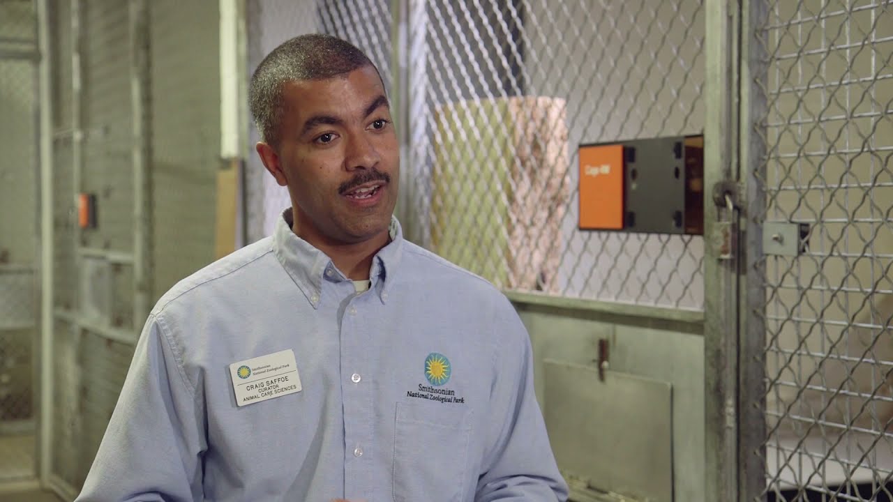 Zoo Jobs: Meet a Curator