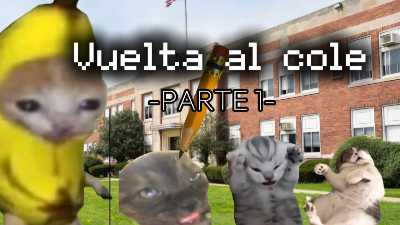 REGRESO A CLASES - parte 1 -  (memes de gatos)