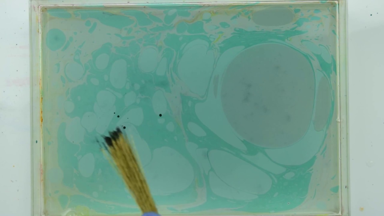 （２）② 箒草ウィスク使用例