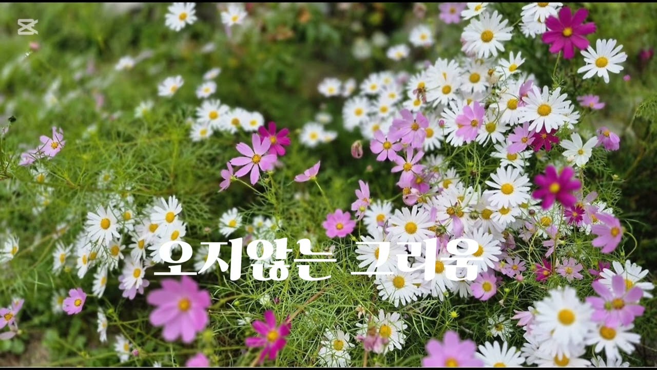 #healing #아름다운풍경 