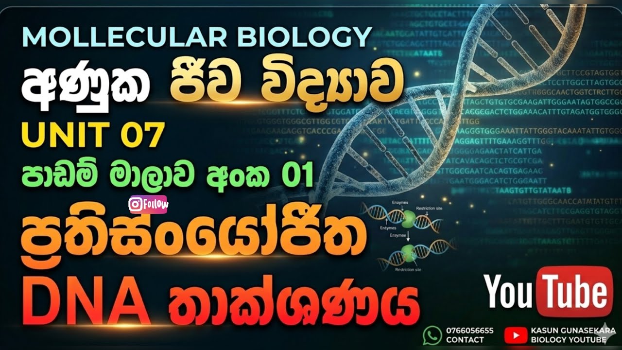 ප්‍රතිසංයෝජිත DNA තාක්ෂණය..Advanced Level Biology