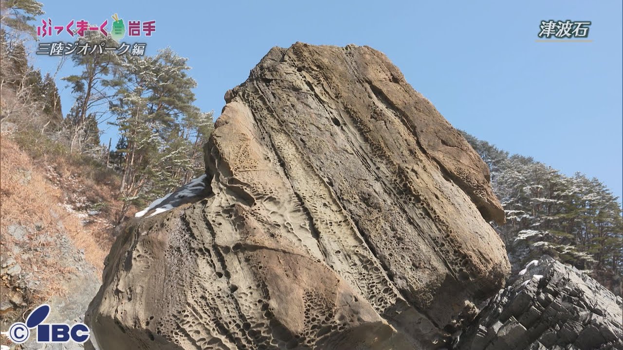 ぶっくまーく岩手　＃１２４「津波石」岩手県田野畑村【三陸ジオ編】