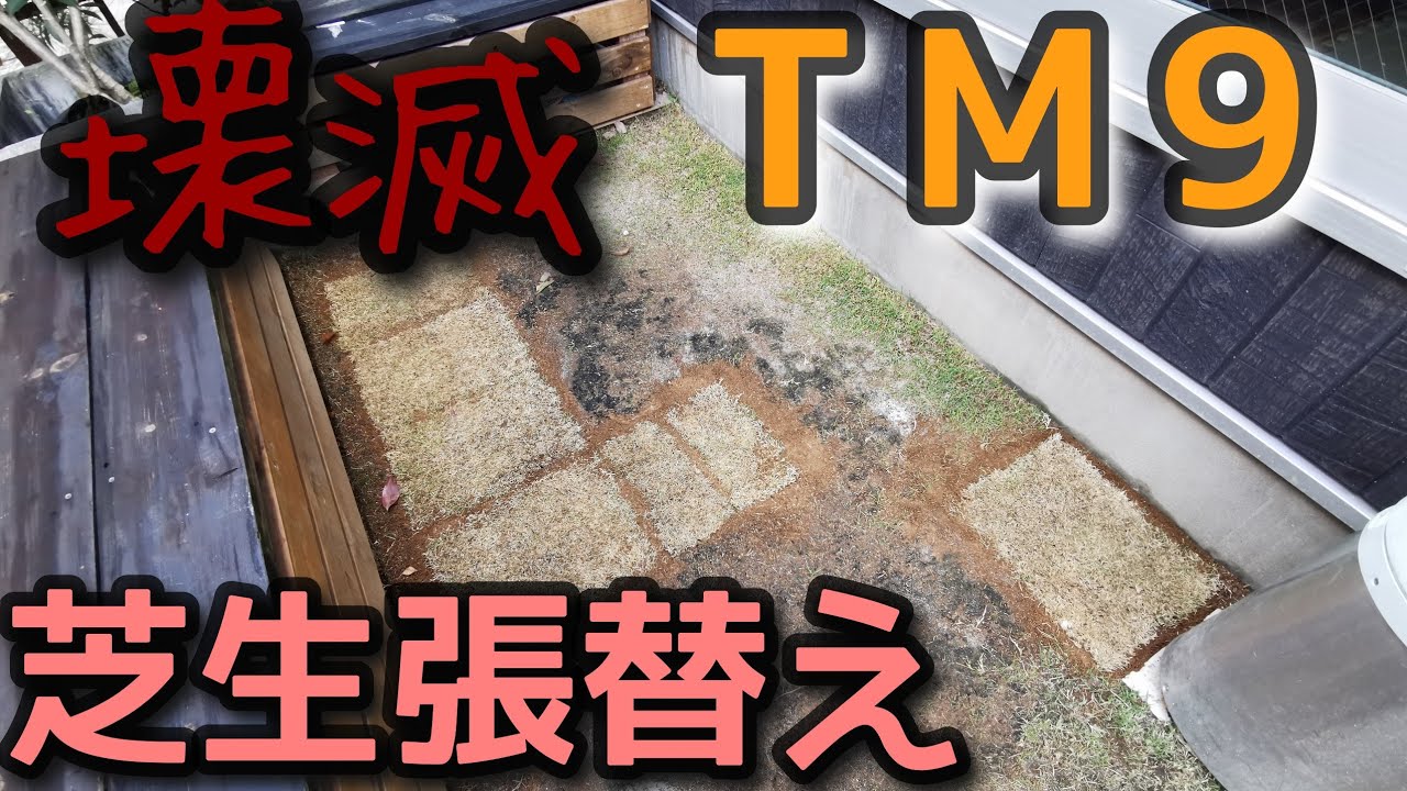 【芝生】壊滅エリアをTM9に張り替えました
