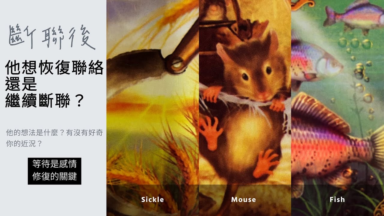 塔羅占卜：斷聯後他的想法是什麼？有沒有好奇你的近況？他希望將來能恢復聯絡還是繼續斷聯呢？