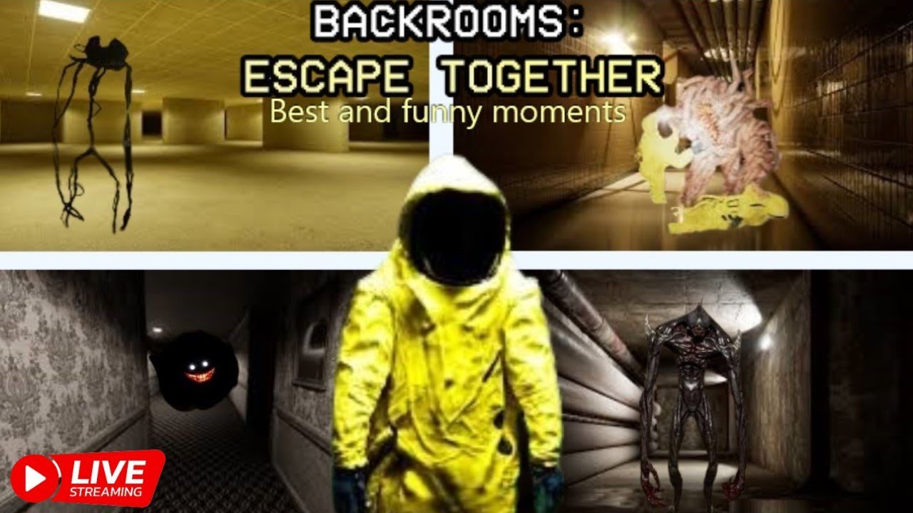Backrooms Escape Together Live!!!