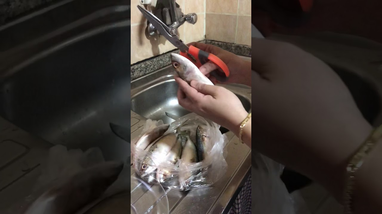 Easy fish cleaning