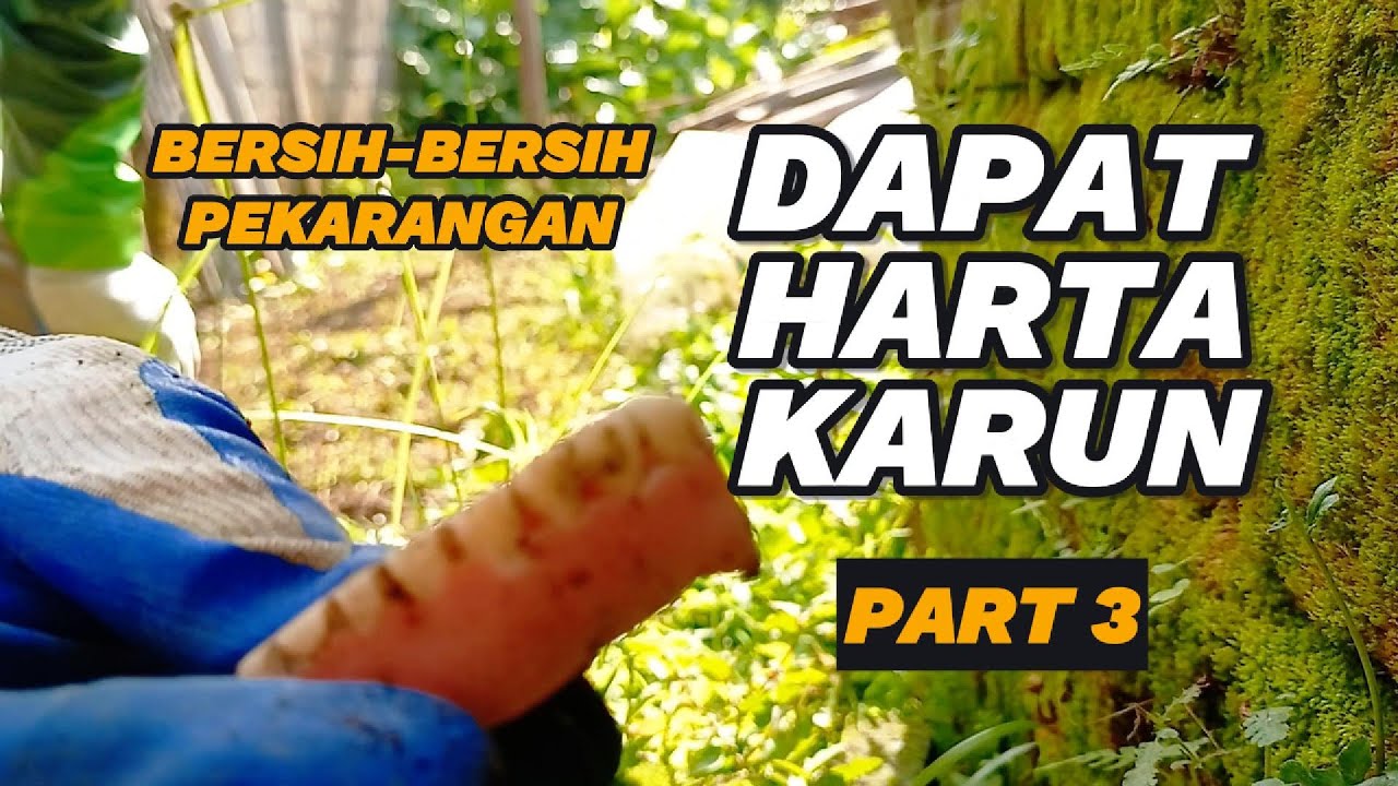 Melanjutkan Membersihkan Pekarangan | Berkebun dari Nol (Part 3) #belajarberkebun #petanipemula 
