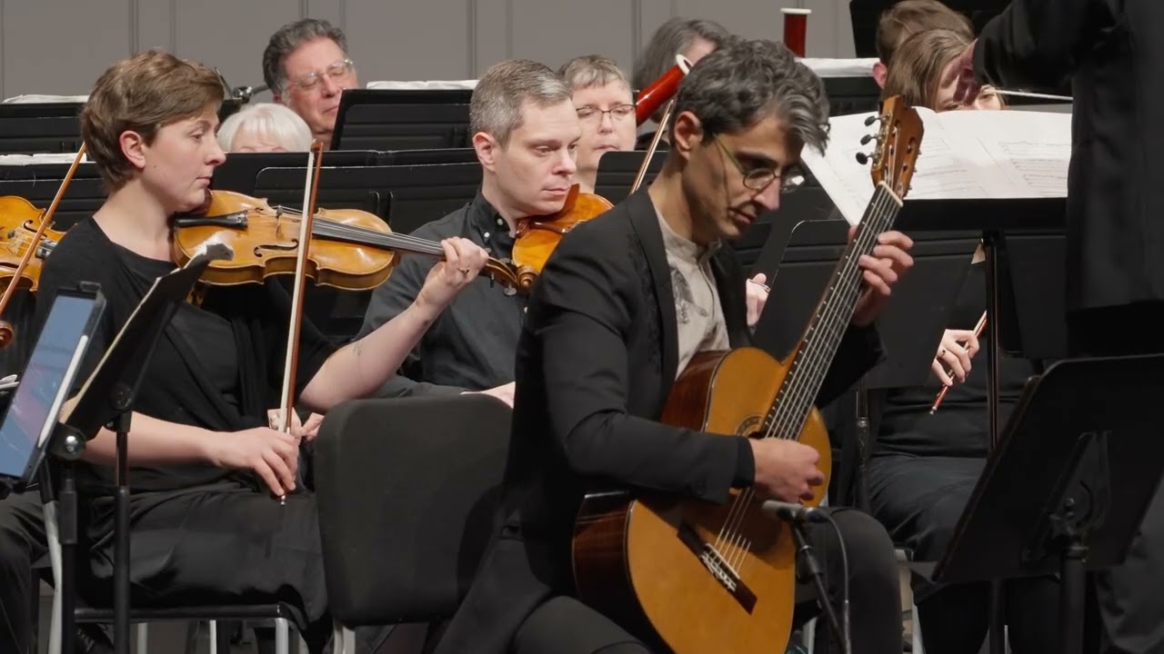 Vivaldi Guitar Concerto in D Major - Largo (Encore)