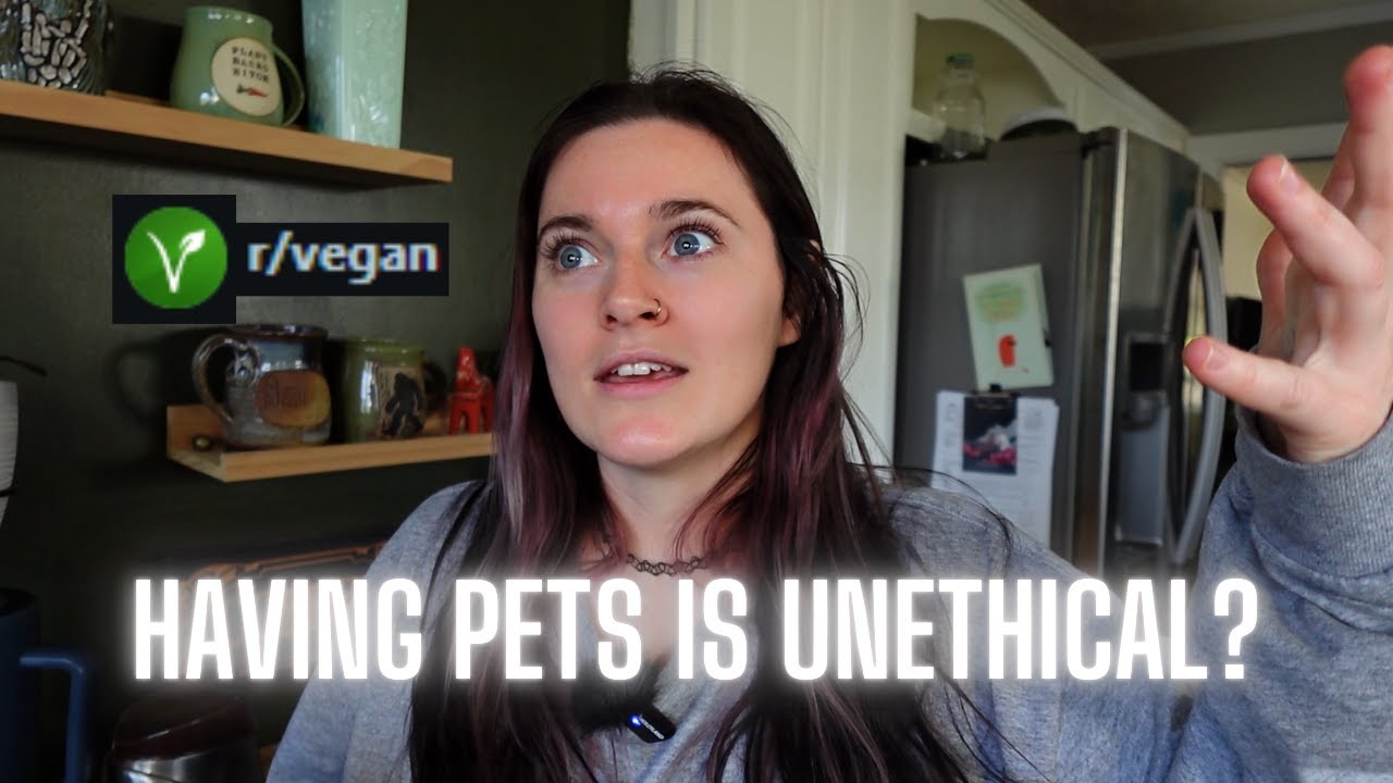 ответы на посты Reddit | VEGAN