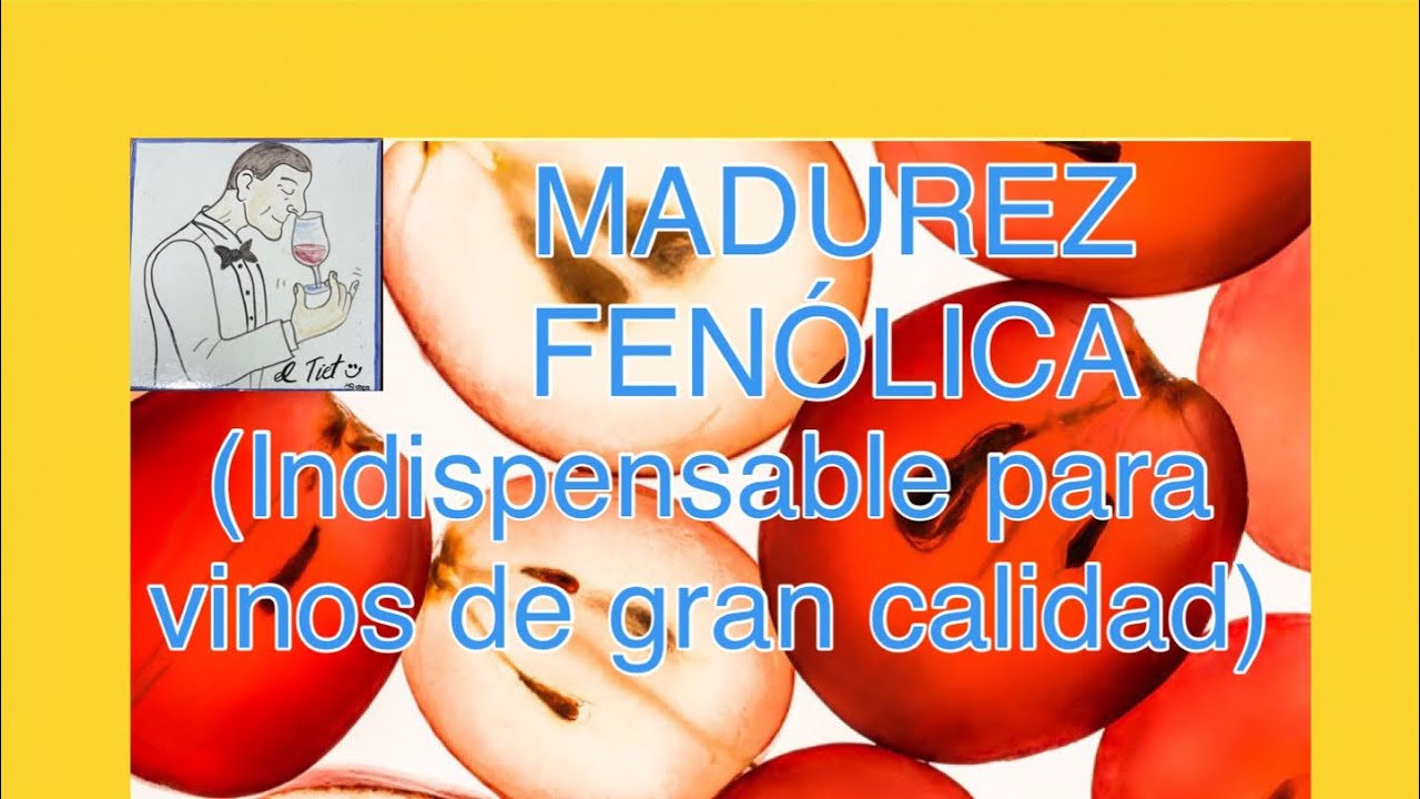 (126) MADUREZ FENÓLICA, ¿QUE ES ?