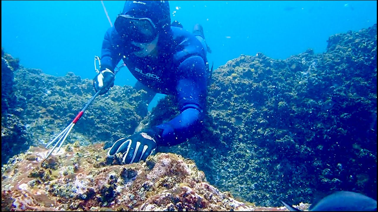 Underwater Eden.. A Spearfishing Boat Camping Adventure..