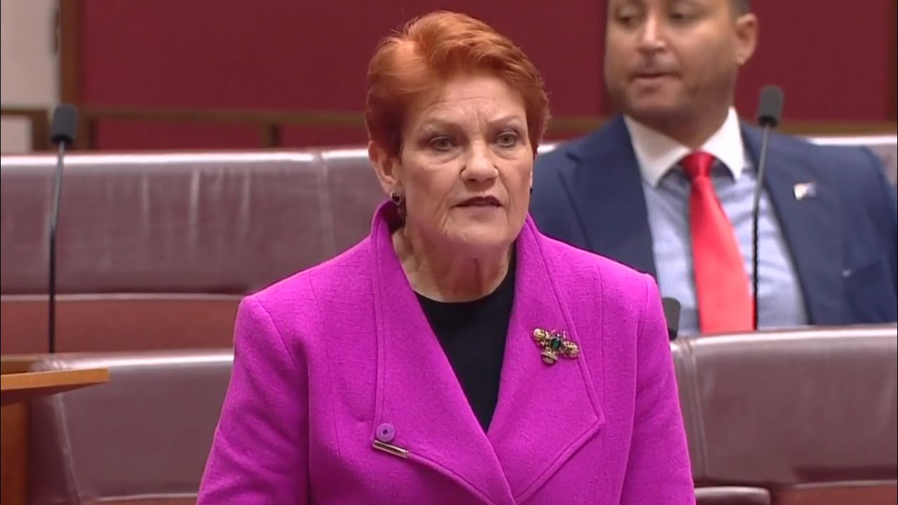 Pauline Hanson calls out ‘gutless’ Coalition senators who voted against net zero ditch