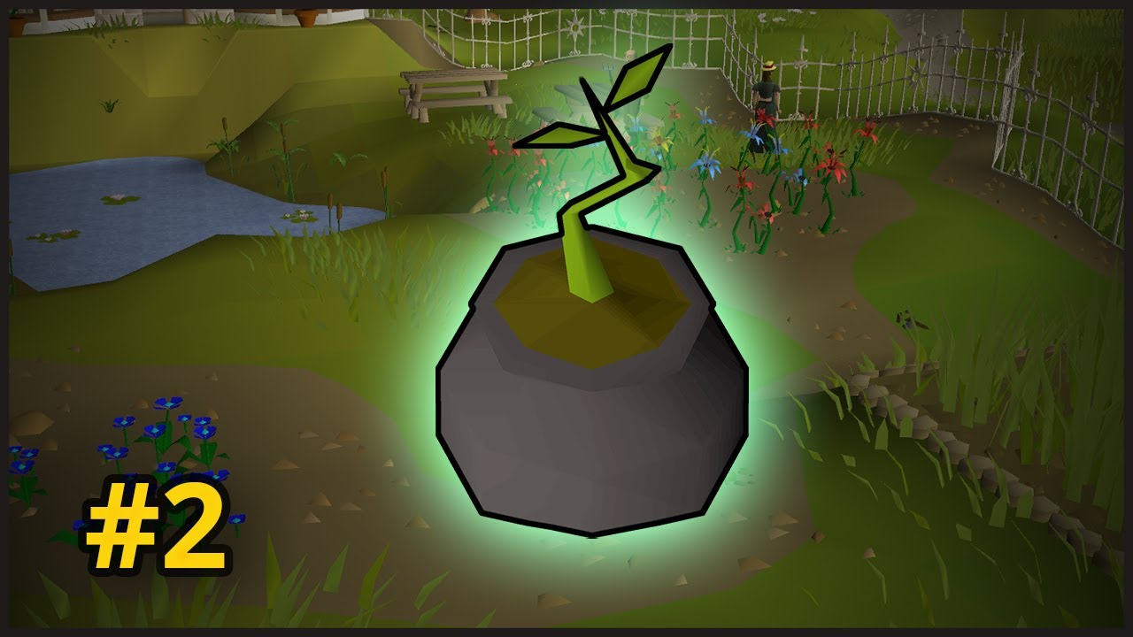 The Bagged Plant Route | POH Chunk #2