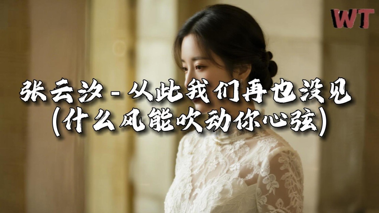 张云汐 - 从此我们再也没见(什么风能吹动你心弦)『什么誓言能抵过时间，什么亏欠能换来从前。』【动态歌词MV】