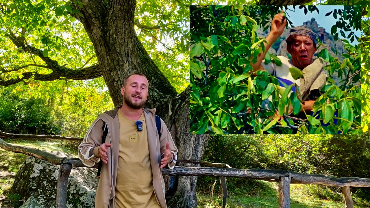 ПРИКЛЮЧЕНИЯ ШУРИКА В КРЫМУ. Кавказская Пленница. ВЫЖИТЬ в ДИКОМ ЛЕСУ БЕЗ ЕДЫ 😱 МОЯ БОЛЬШАЯ ОШИБКА.
