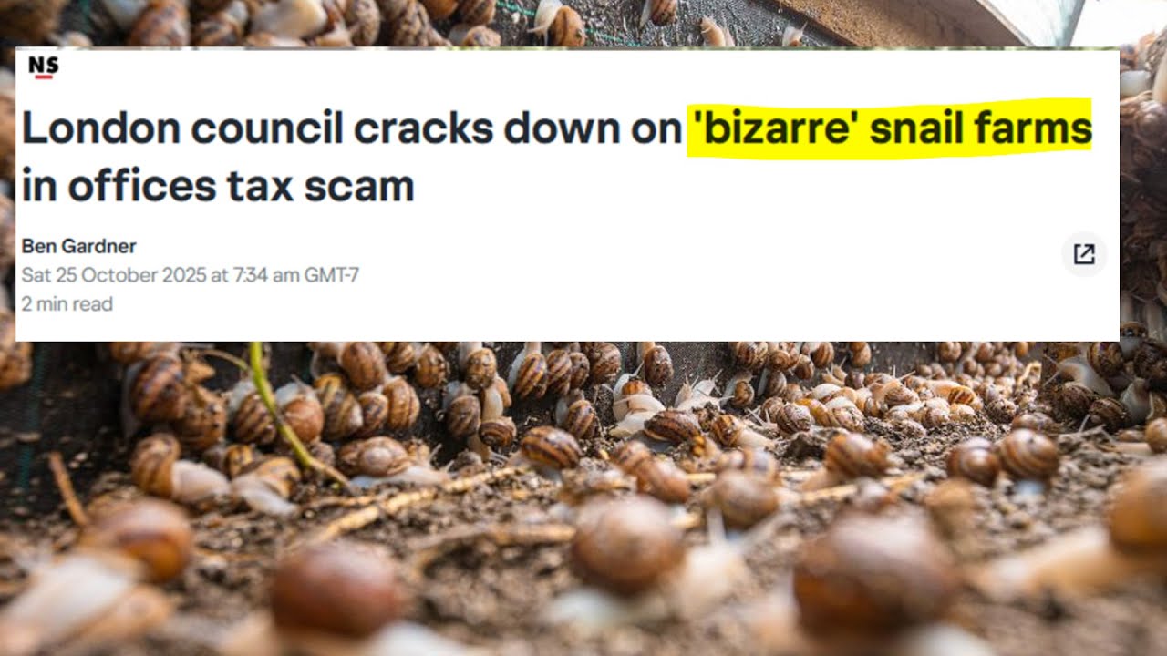 Hilarious Tax Fraud